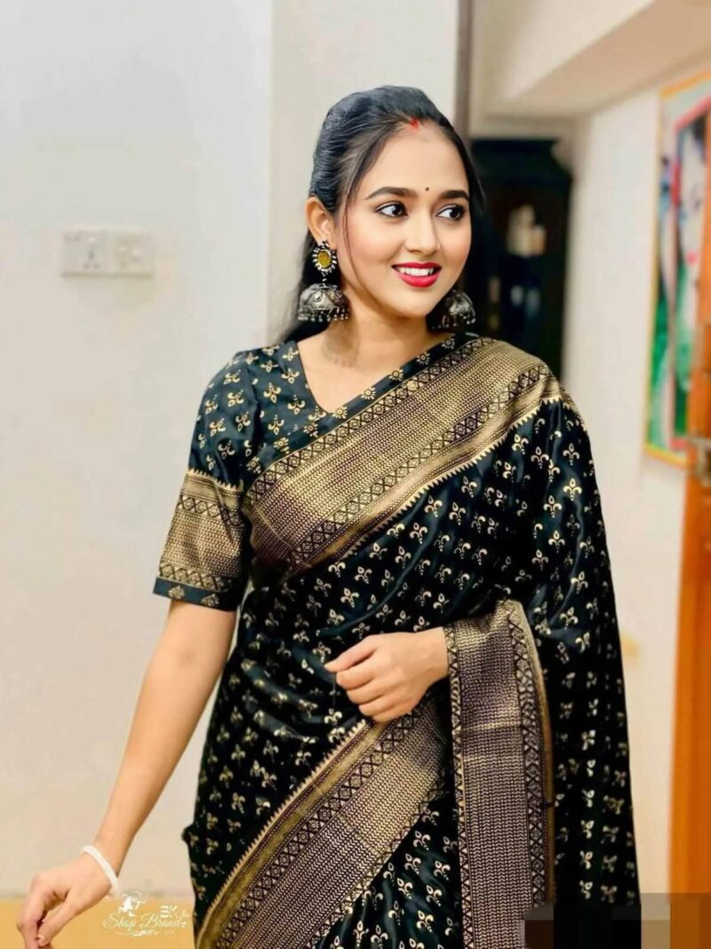 Japani Silk Sharee with Blouse Piece - Image 2